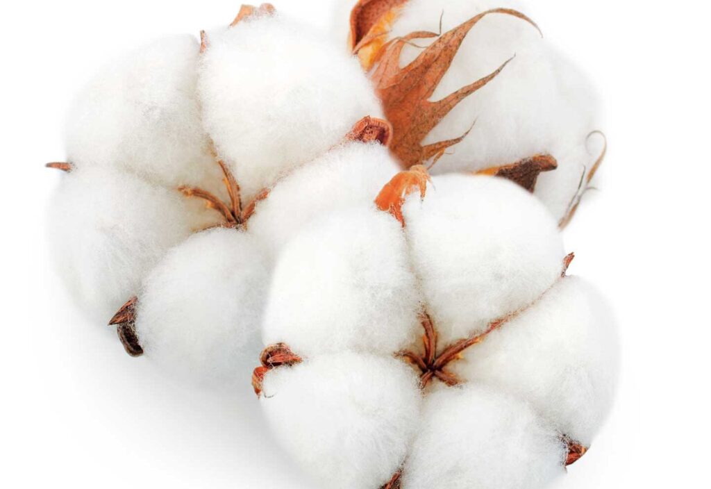 Cómo se llama la tela 100% algodón: Descubre su nombre y usos
